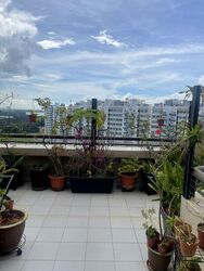 Bayshore Park (D16), Condominium #567214521